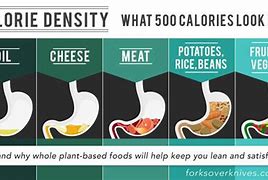 Image result for Calorie Density Graph