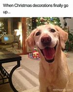 Image result for Yay Christmas Meme