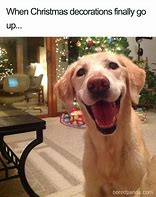 Image result for Funny 12 Days of Christmas Memes