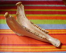 Image result for What Is Jawbone