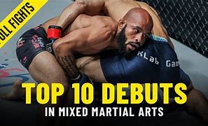 Image result for MMA Martial Arts