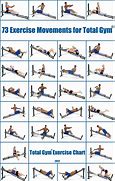 Image result for Gym Exercise Chart
