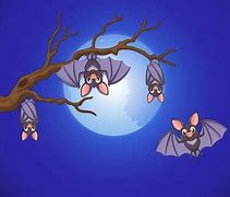 Image result for Cartoon Bat Icon