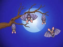 Image result for Cartoon Sleeping Bat Cool