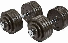 Image result for Cast Iron Dumbbell Weights