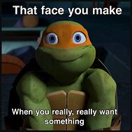 Image result for Ninja Turtle Meme