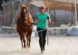 Image result for Kathy Healon Horse Trainer