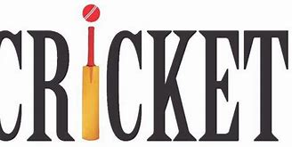 Image result for Cricket Tem Logo