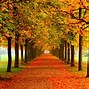 Image result for Fall Theme Screensavers