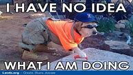 Image result for Funny Safety Pics