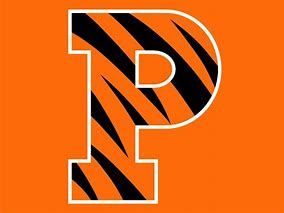 Image result for Princeton University Mascot Logo