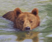 Image result for Bear Art Brown Paint