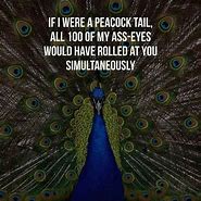 Image result for Proud as a Peacock Memes