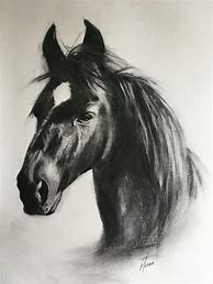 Image result for Charcoal Drawing of Horse Racing