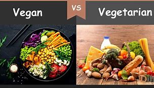 Image result for Vegan V Vegetarian