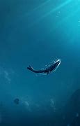 Image result for Whale Lock Screen Wallpaper
