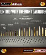 Image result for Rifle Bullet Size Comparison Chart