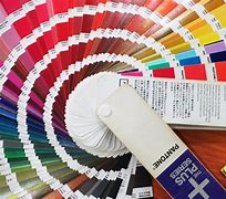 Image result for Pantone 196C