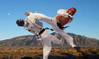 Image result for Taekwondo Kicks