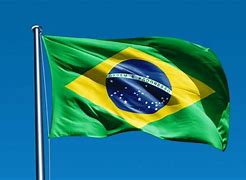 Image result for Simbolos Do Brasil