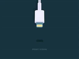 Image result for Lightning to USB Pinout