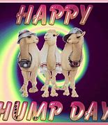 Image result for Hump Day Baby Funny Meme