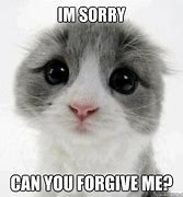 Image result for I'm Sorry Cute Meme