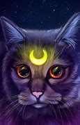 Image result for Colorful Galaxy Cats