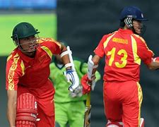 Image result for Chinese Cricket