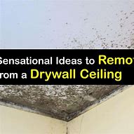 Image result for How to Clean Mold Off Ceiling
