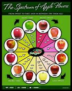 Image result for All Apple Food