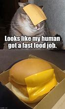 Image result for You Had One Job Cat