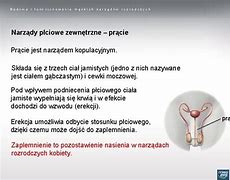 Image result for co_to_znaczy_Żołądź_prącia