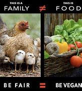 Image result for Cute Vegan Quotes