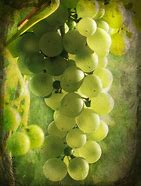 Image result for Yellow Grapes