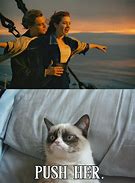 Image result for Grumpy Cat Titanic