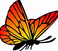 Image result for Vector Butterfly Images. Free
