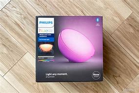 Image result for Philips Hue Go