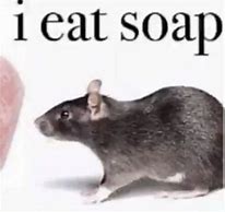 Image result for Cursed Rat Meme