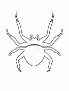 Image result for Spider Stencil Template