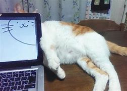 Image result for Cat PC Case