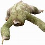 Image result for Cute Sloth Smiling