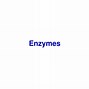 Image result for Cell Enzyme Location