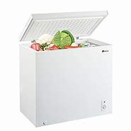 Image result for American Home 10 Cubic Foot Chest Freezer