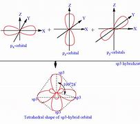 Image result for Examples of Hybridization
