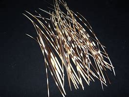 Image result for Cape Porcupine Quills