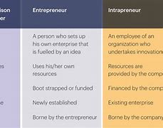 Image result for Difference Between Entrepreneur and Intrapreneur