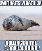 Image result for Rolling Laughing Meme