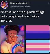 Image result for Sticks in Spoke LGBTQ Memes