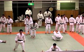 Image result for Kodokan Judo Japan